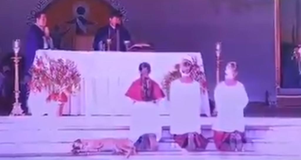 VIDEO: Permiten a perrita dormir dentro de una iglesia durante una misa