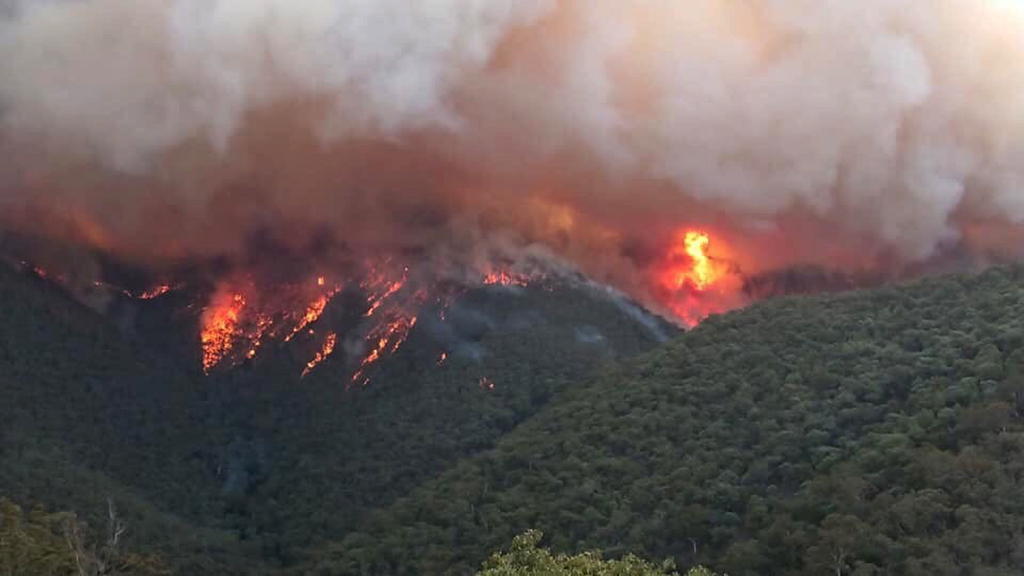 Declaran emergencia de siete días en área de incendios en Australia