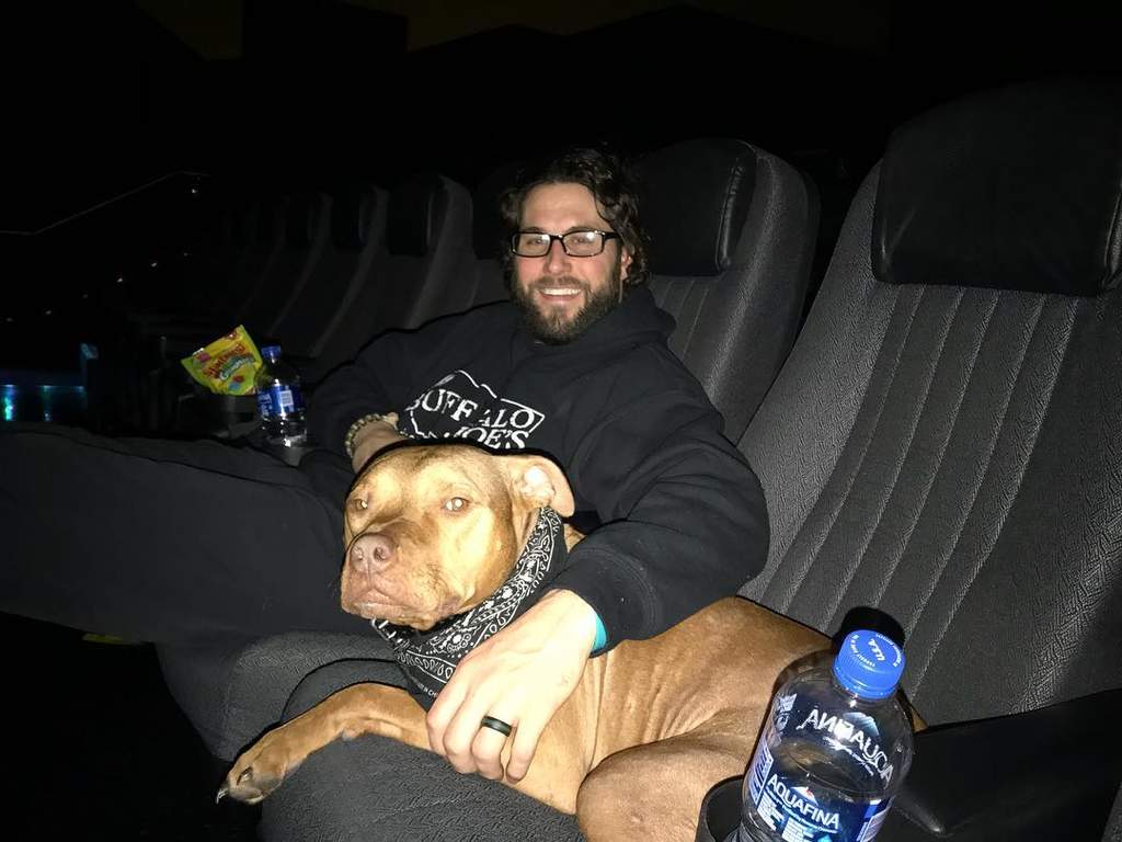 Conoce las salas de cine para mascotas