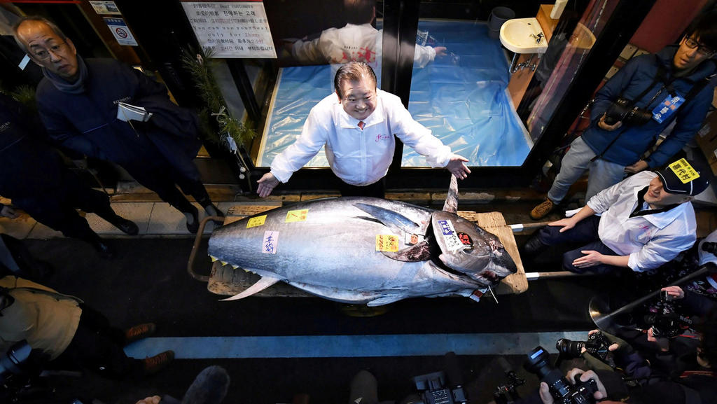 Ejemplar de atún se vende en 34 mil millones de pesos