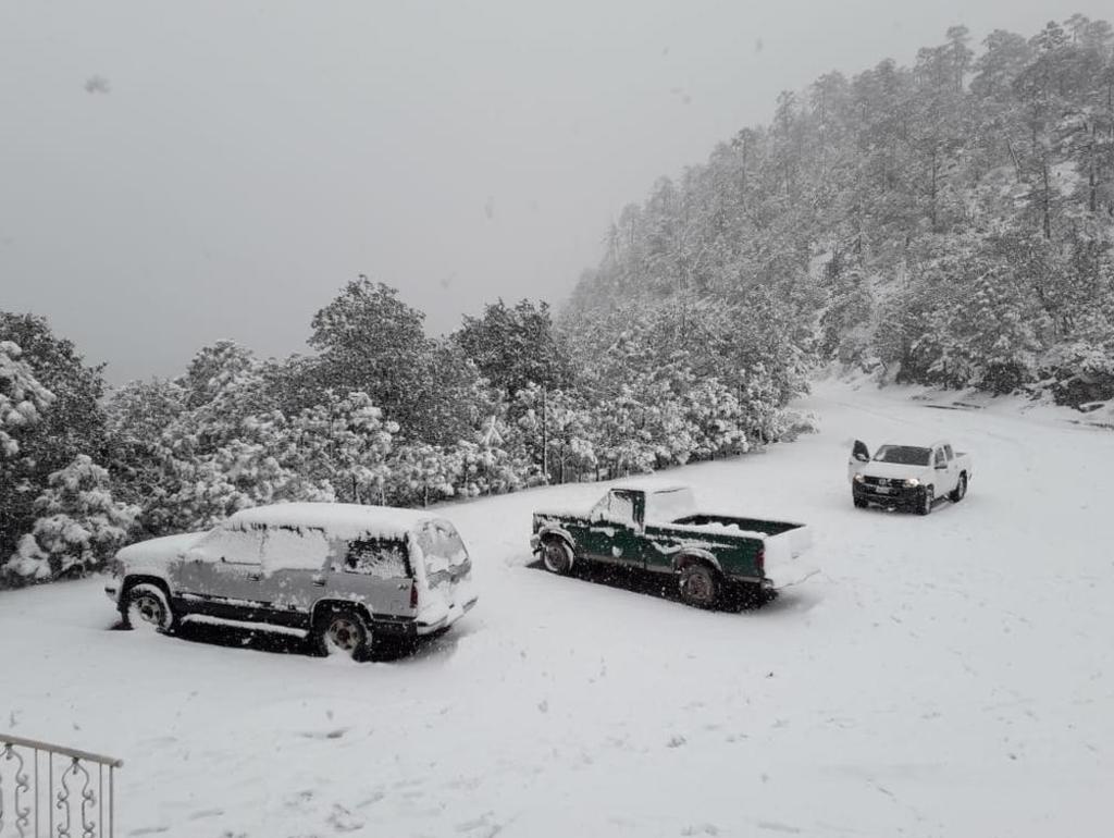 Pronostican nevadas en Baja California, Sonora y Chihuahua