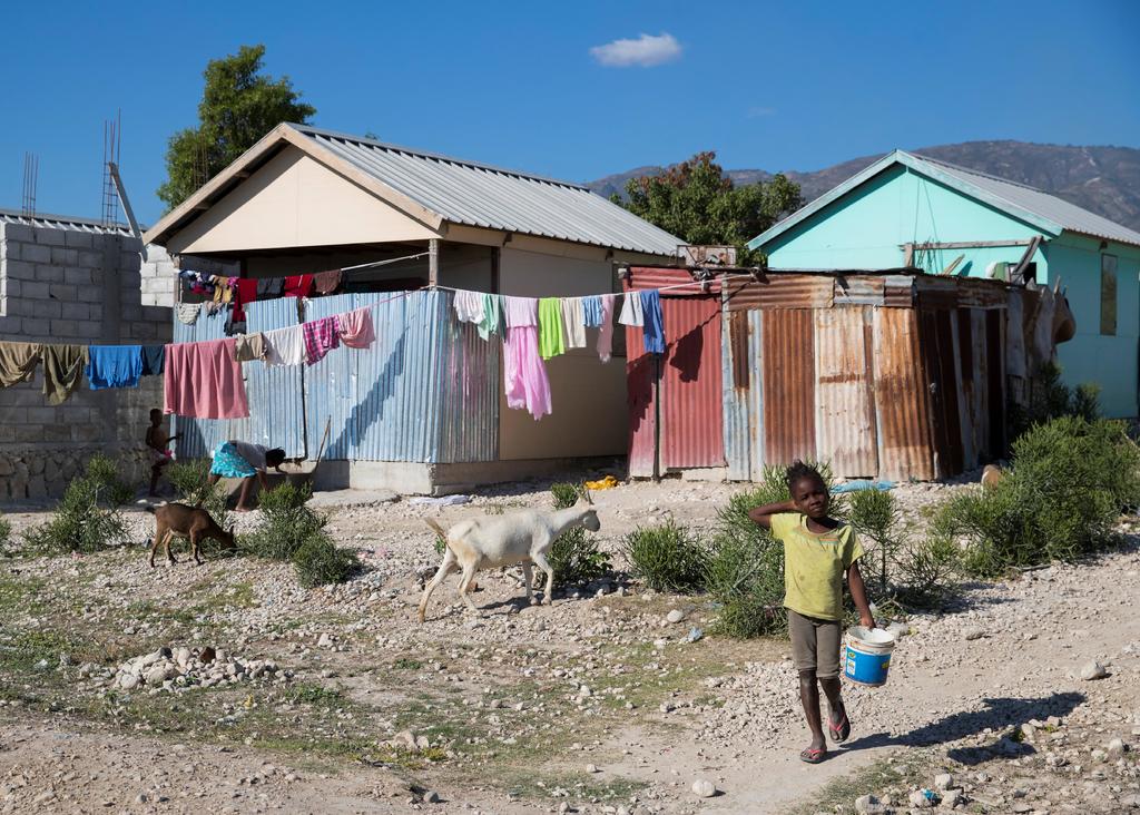 Estima OIM que 34 mil haitianos se quedarán como desplazados para siempre