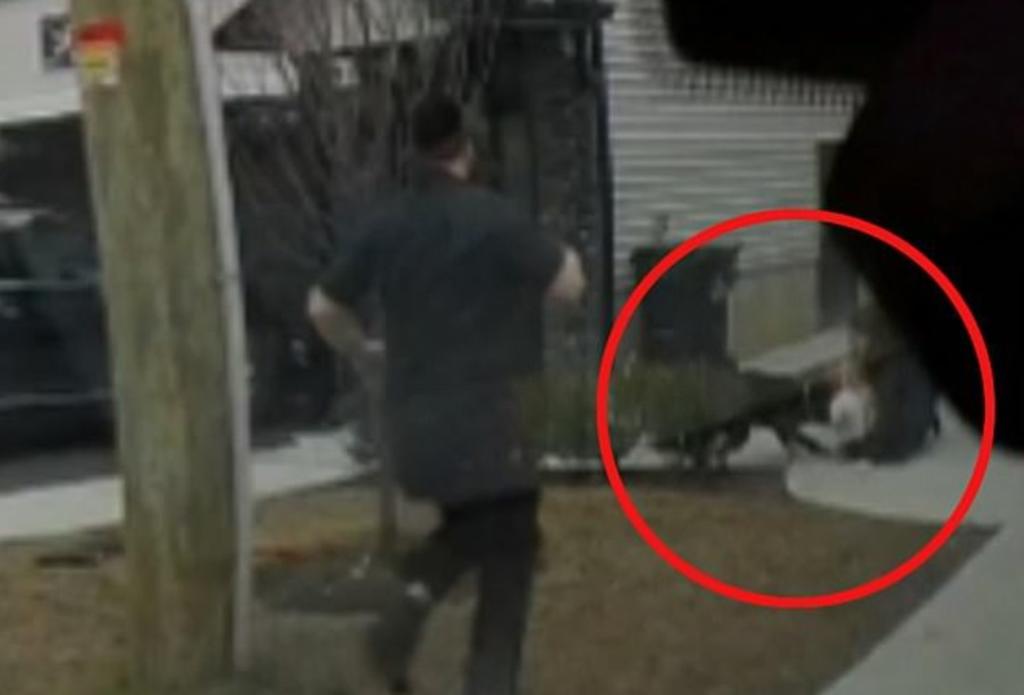 VIDEO: Hombre salva a bebé y su hermana del ataque de un pitbull