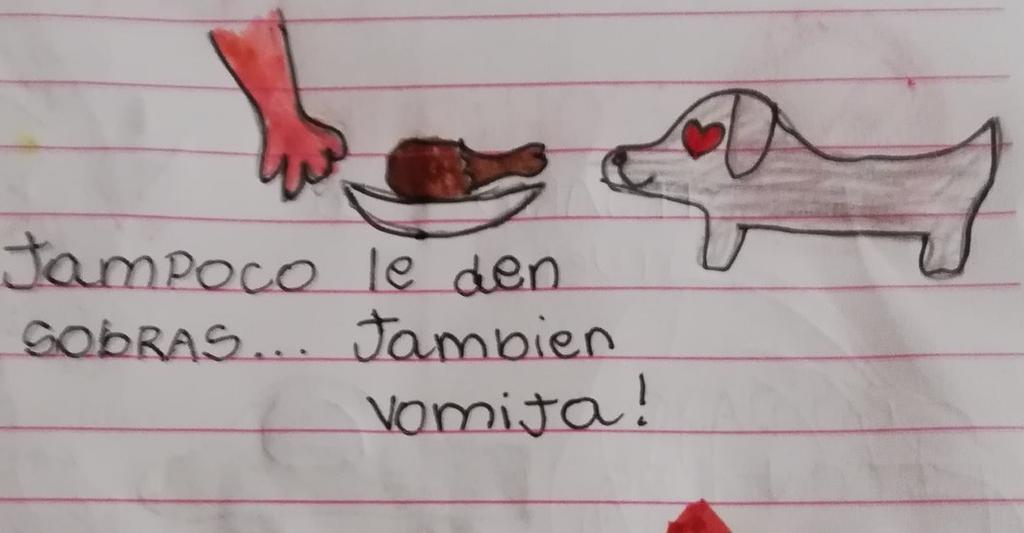 Manual de cuidados del perro de una niña se hace viral por sus dibujos