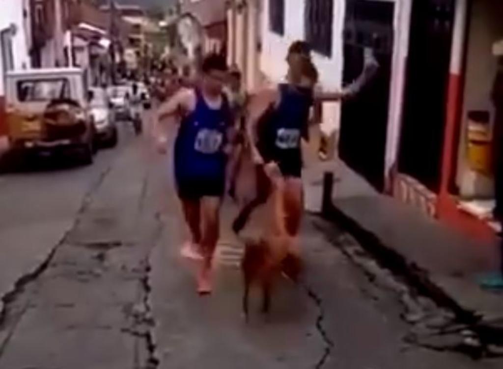 VIDEO: Atleta patea a perro durante carrera y le quitan patrocinios