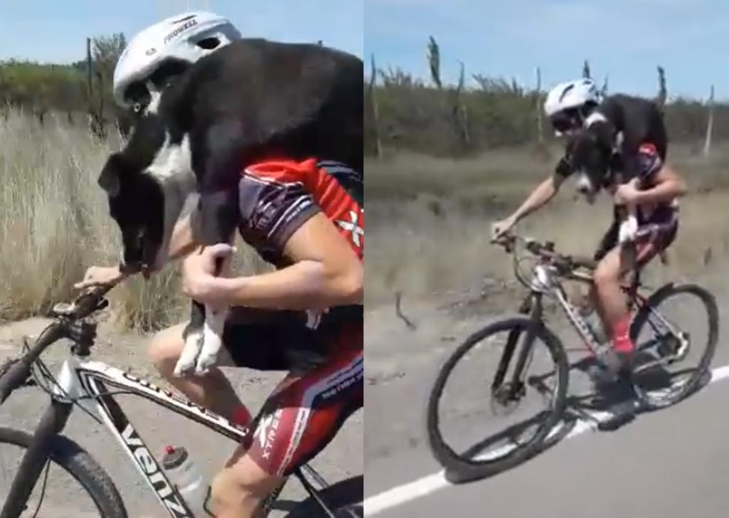 Ciclistas en Argentina rescatan a perro que se encontraba deshidratado