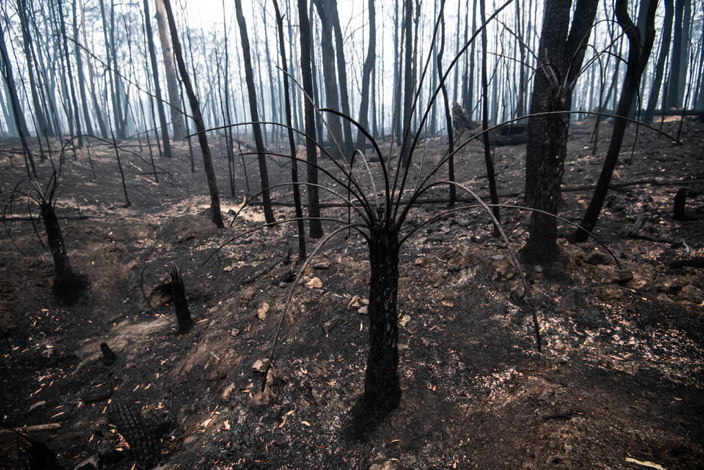 Zona afectada por incendios en Australia se prepara para intensas lluvias