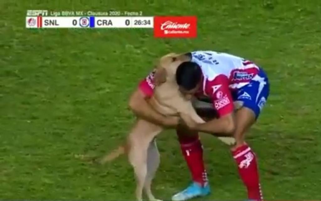 Perro ingresa al campo en el juego de San Luis vs Cruz Azul
