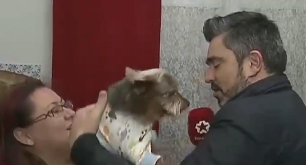 VIDEO: Reportero es mordido por un perro durante reportaje