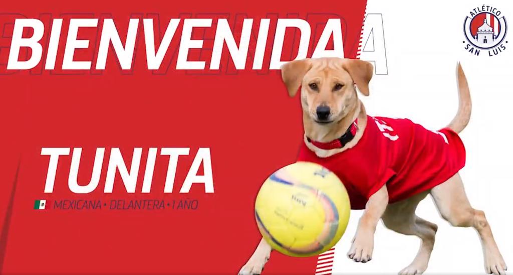 Atlético de San Luis presenta a 'Tunita' como su nuevo refuerzo
