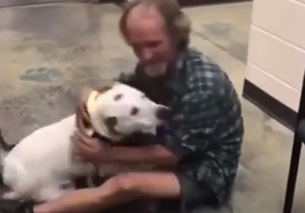 El conmovedor reencuentro entre un hombre indigente y su perro