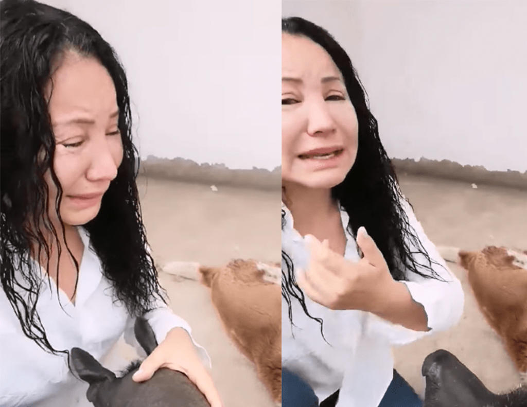 VIDEO: Conductora rompe en llanto al denunciar envenenamiento de su perro