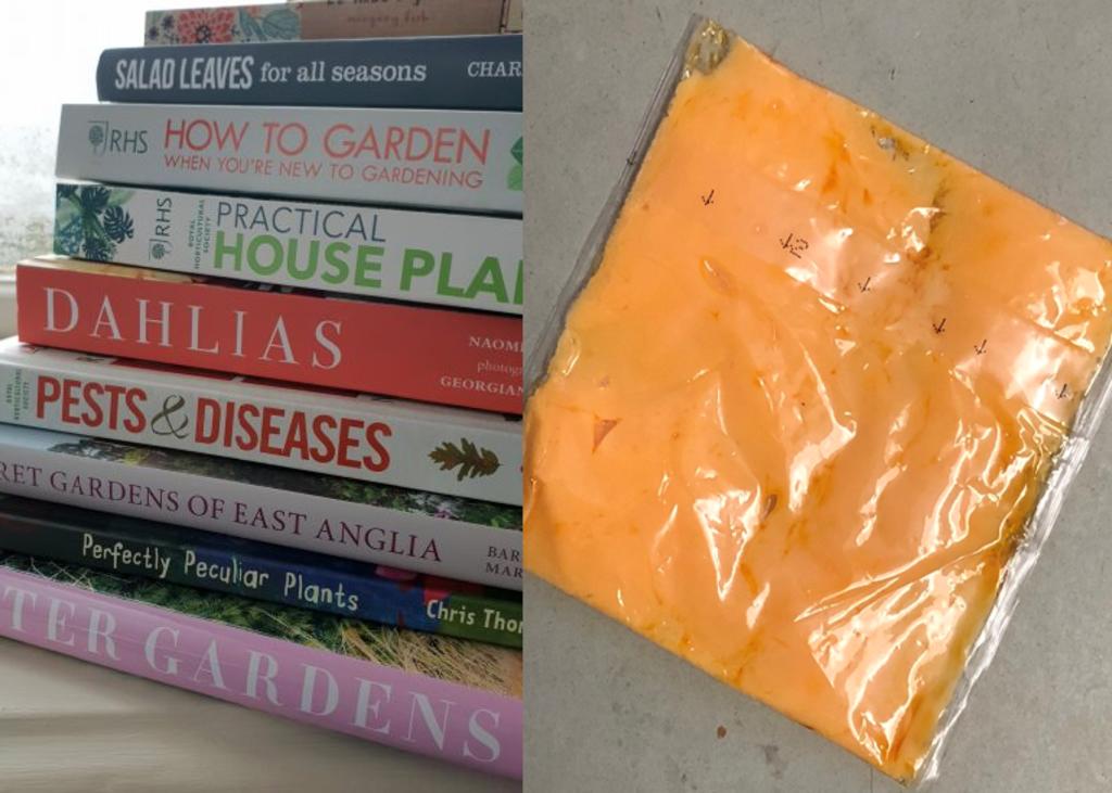 Alguien usó una rebanada de queso como separador de libros