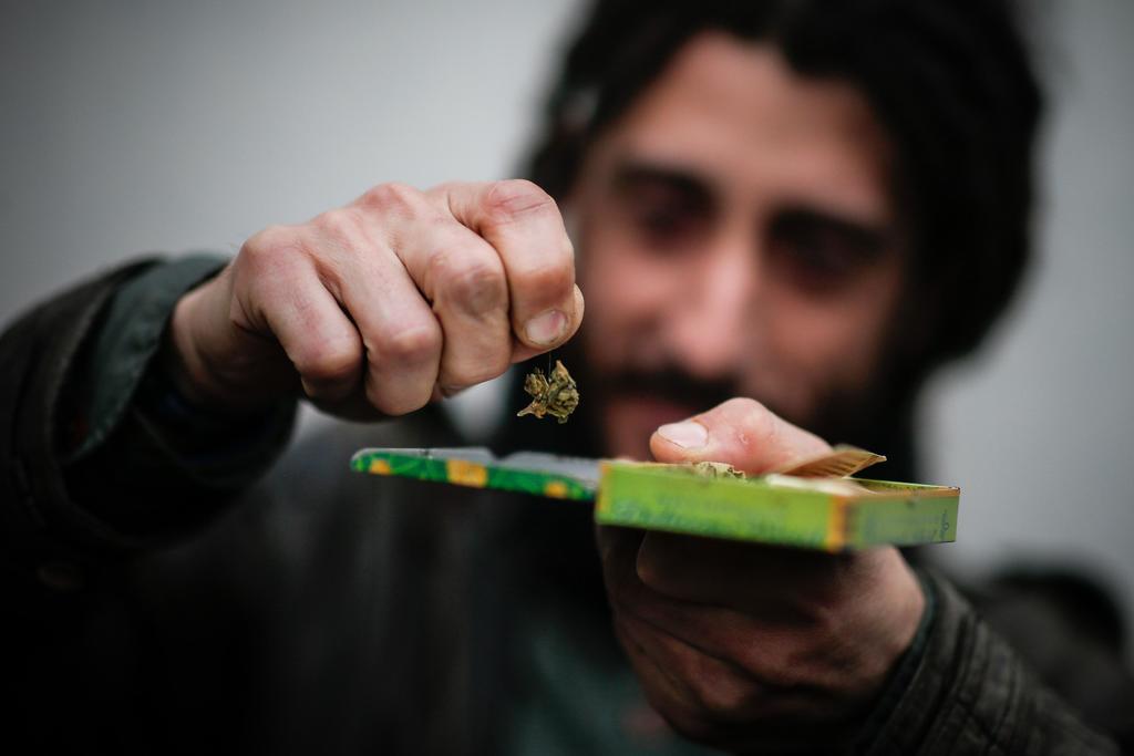 Estudia Argentina despenalizar consumo de marihuana y el autocultivo