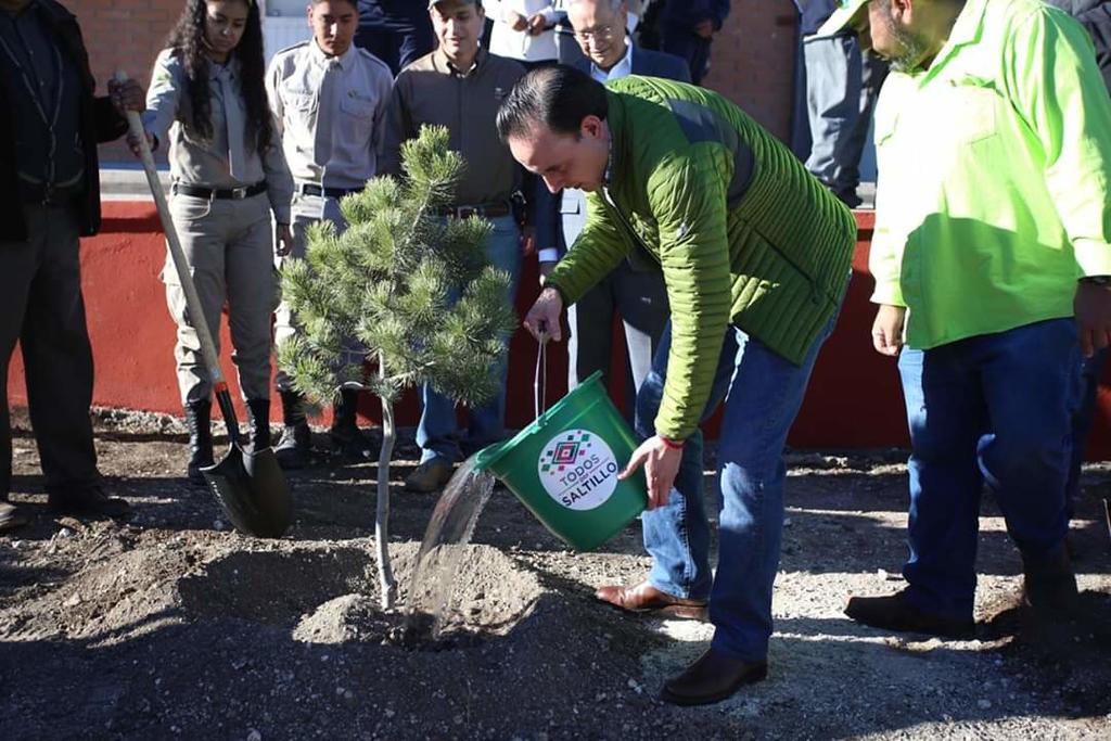 Reforestan tres mil árboles en escuelas de Saltillo
