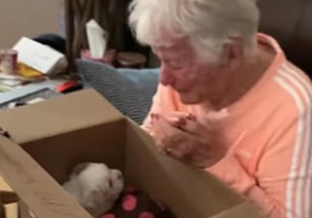 La conmovedora reacción de una abuelita al recibir un cachorro