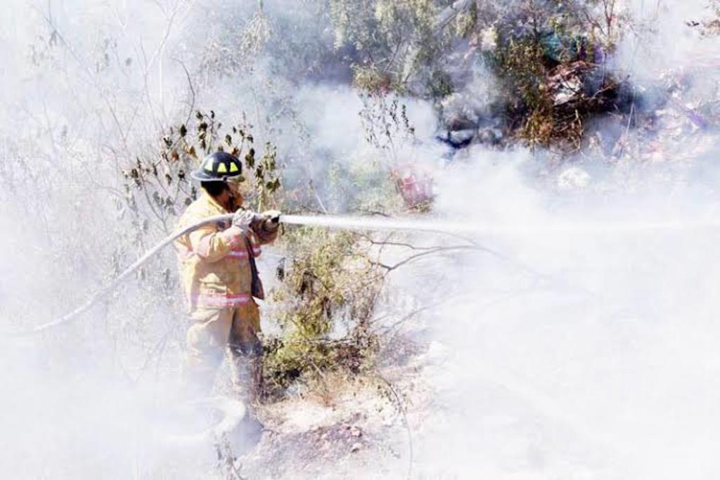 Niños provocan incendios en lotes baldíos de Ciudad Frontera