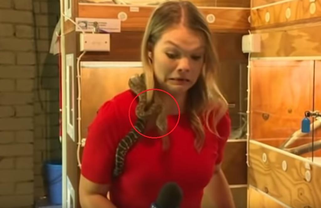 VIDEO: Reportera es sorprendida por el ataque de una serpiente