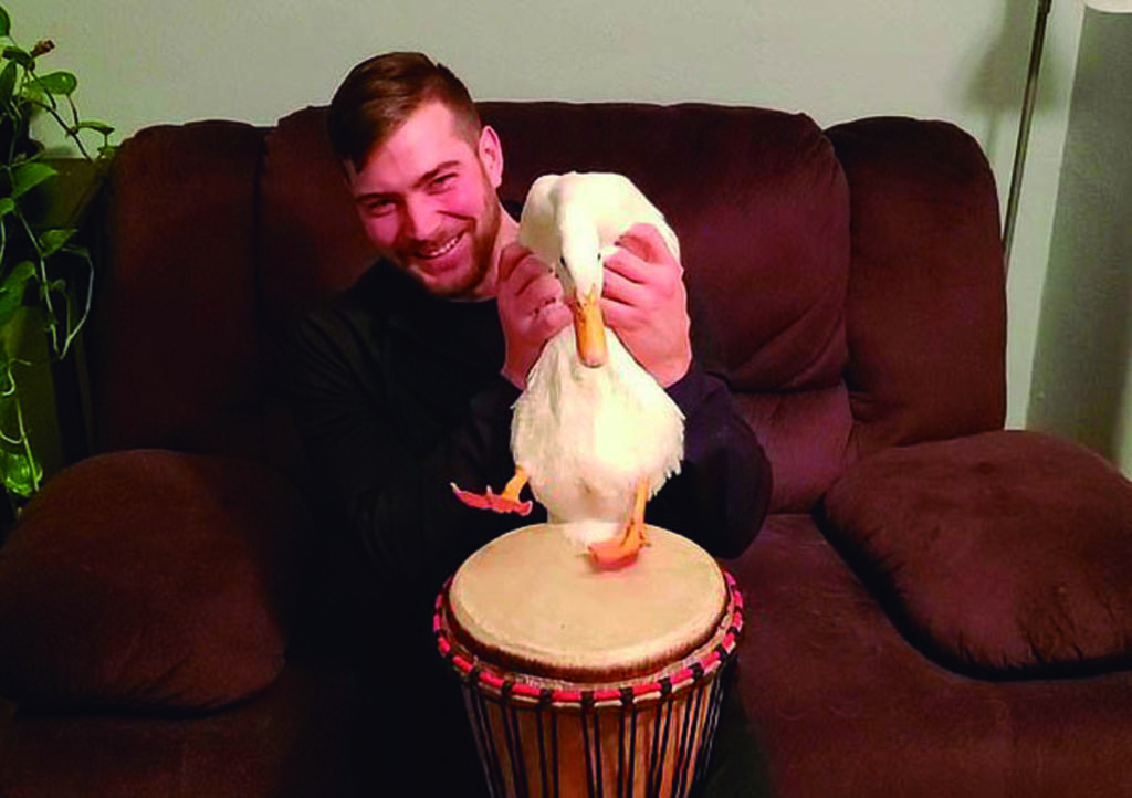 VIRAL: El pato que 'toca el tambor' con más de 1 millón de reproducicones