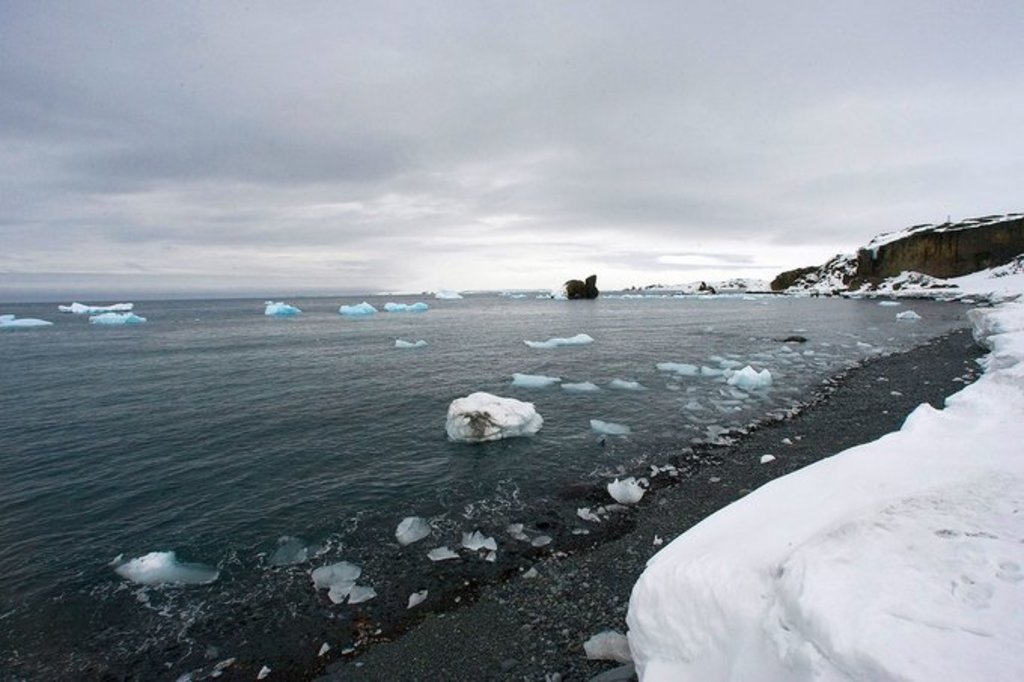 Sube a más de 20 grados temperatura en la Antártida