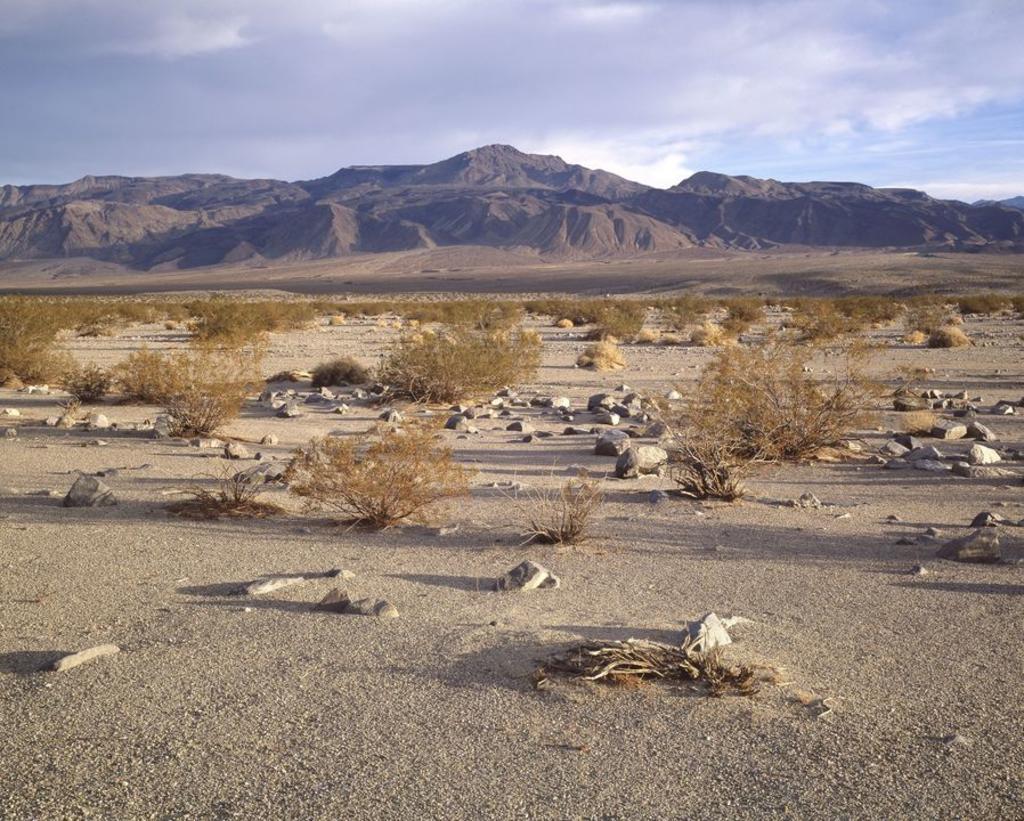 Aridez extrema dañará ecosistemas donde viven 2 mil millones de personas
