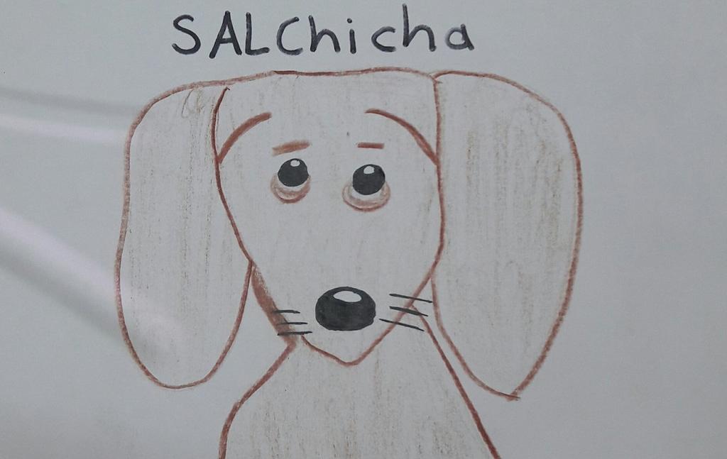 VIRAL: Niño cautiva con tierno dibujo de su perrita salchicha extraviada