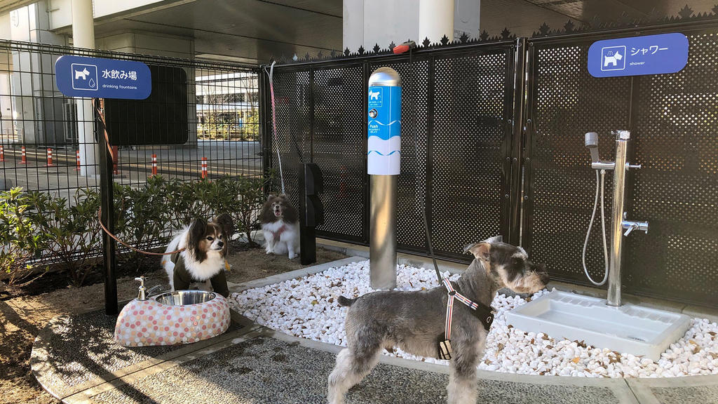 Aeropuerto japonés inaugura un ‘baño para perros’