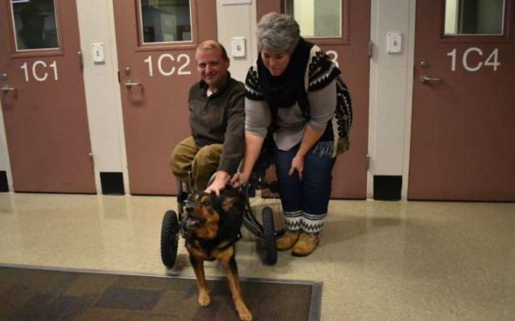 VIRAL: Hombre en silla de ruedas adopta a perrito paralítico