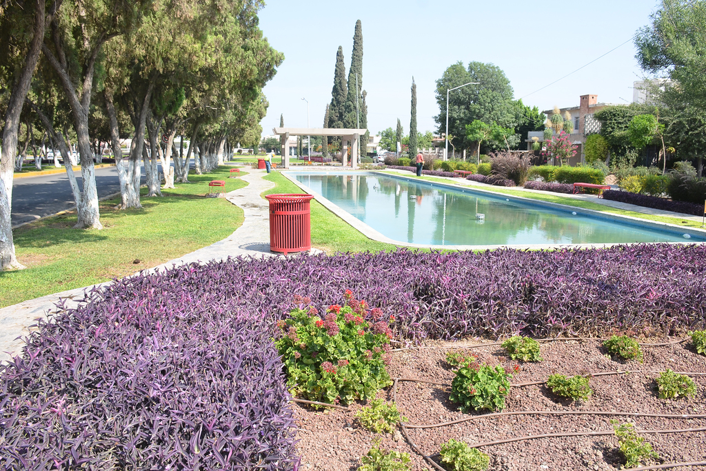 Colonos de Torreón Jardín se comprometen a pagar adeudo con Simas