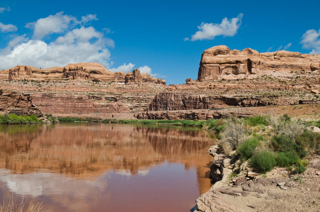 Disminución del caudal del Río Colorado alarma a científicos