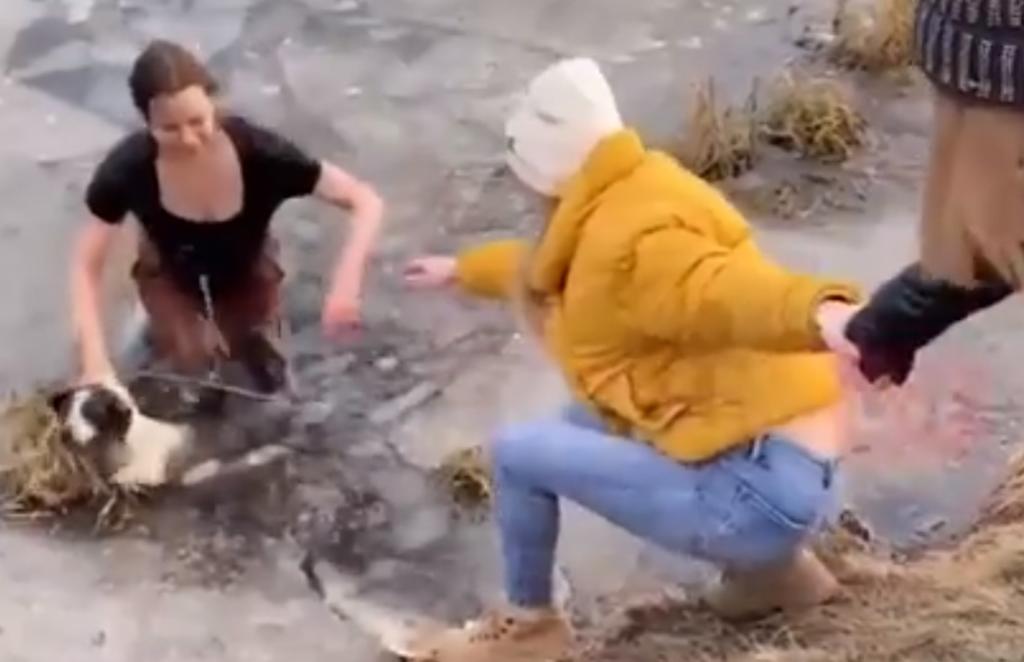 VIDEO: Mujer salva a su perro de morir congelado en un estanque en Rusia