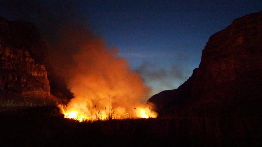 Incendio forestal de 30 hectáreas de parque natural en Coahuila
