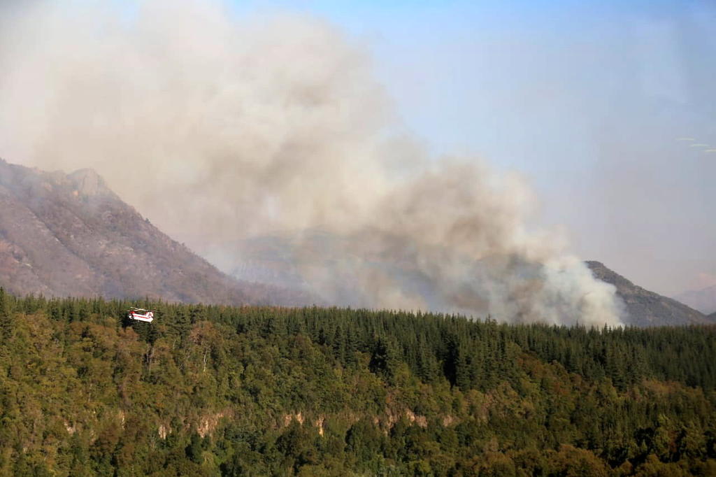 Consume incendio 11,500 hectáreas en Chile; genera protestas