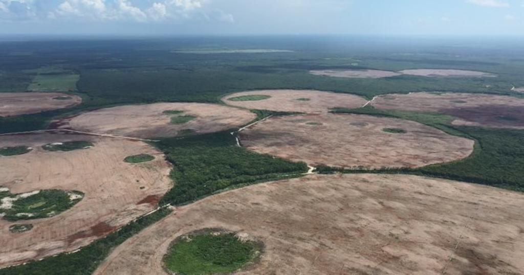 Reportan explotación de agua por empresa de Romo en Península de Yucatán