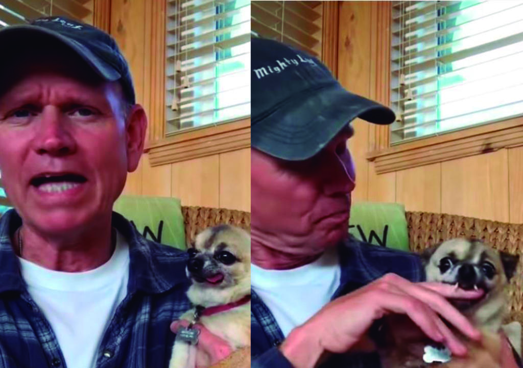 'Tu perro te da paz'; hombre comparte su 'relajación' al estar con su mascota