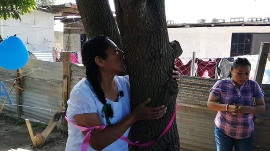 VIRAL: Mujer se casa con un árbol en Veracruz