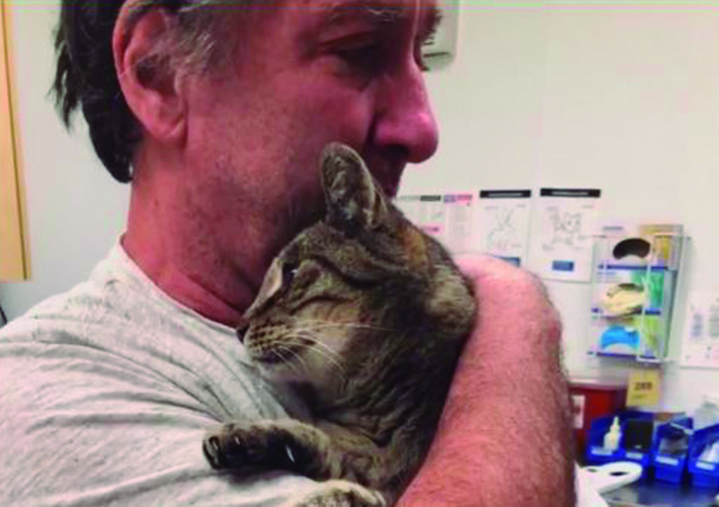 VIDEO: Gatito se reúne con su dueño tras estar extraviado por 7 años