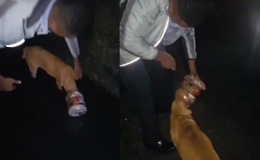 VIRAL: Policías auxilian a perro que tenía su cabeza atorada en un bote de plástico