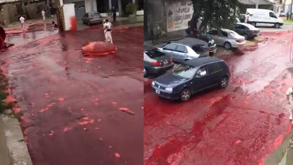 VIRAL: Calles de Argentina se ven inundadas por litros de sangre