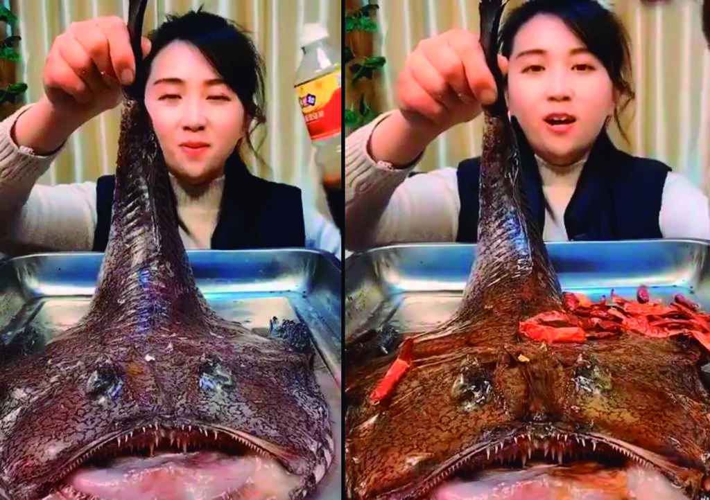 Critican a youtuber asiática por comer 'pez mounstro' para su canal