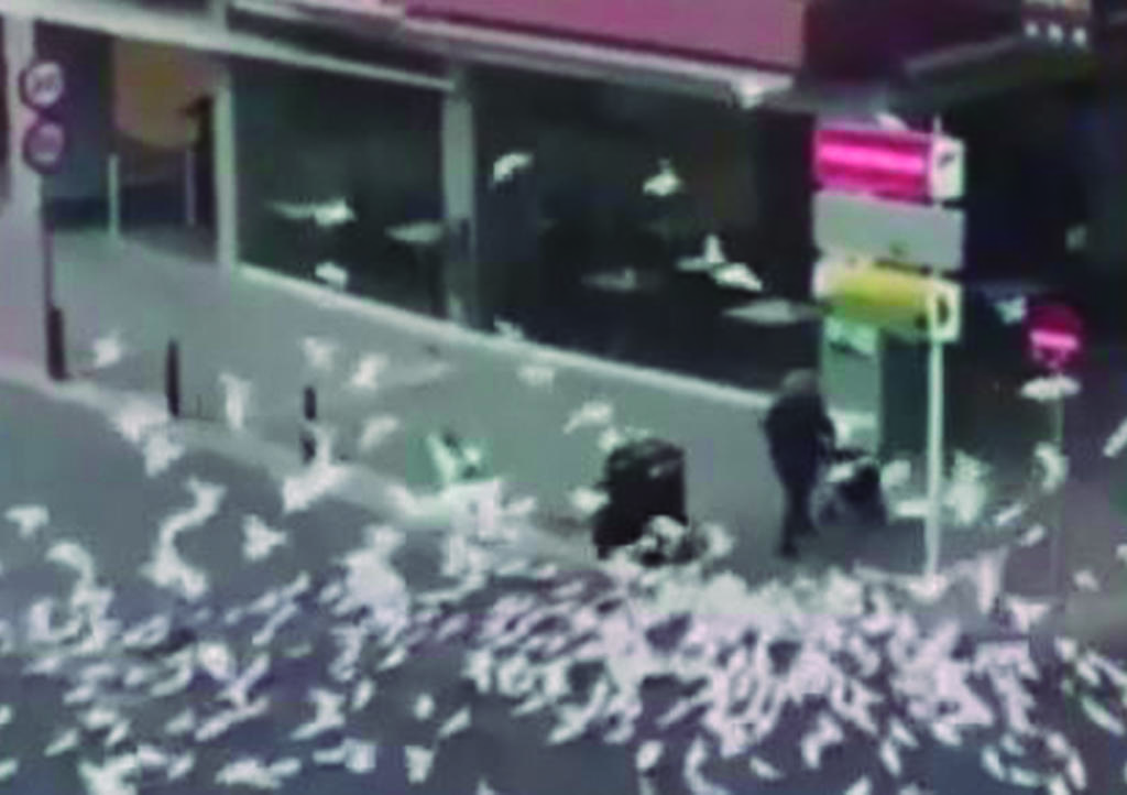 VIDEO: Palomas ambrientas 'atacan' a mujer durante cuarentena