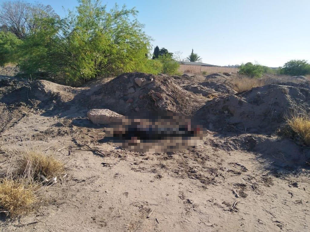 En Torreón, encuentran cuerpo de hombre en terreno baldío
