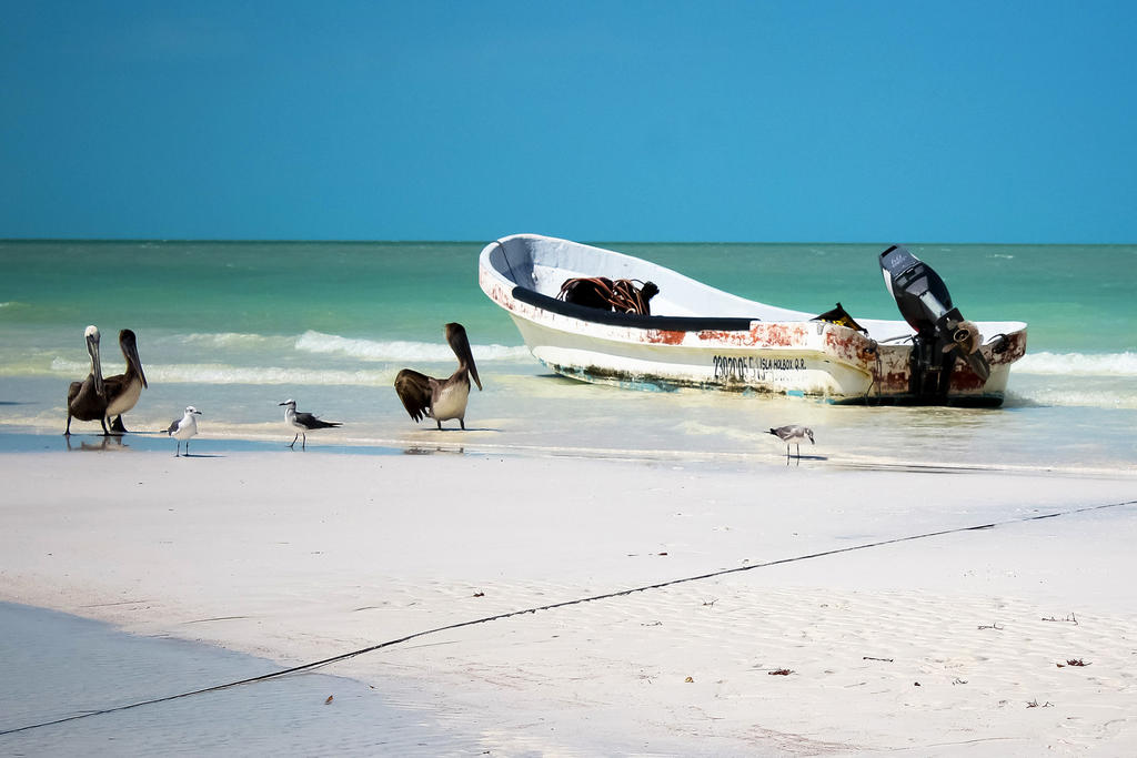¿Cuáles playas mexicanas han cerrado por la contingencia sanitaria?