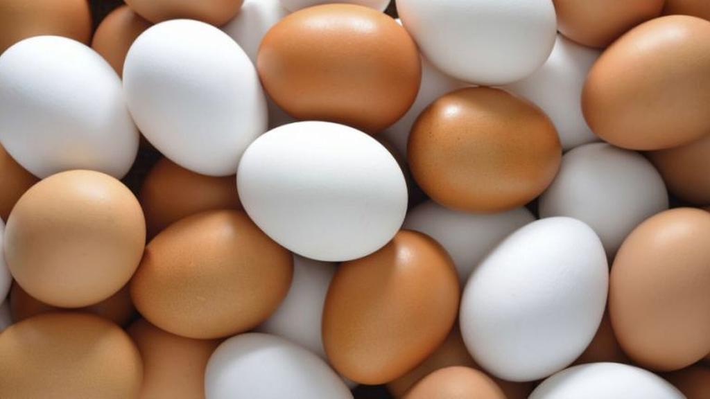 ¿Cuánto huevo se debe comer a la semana?