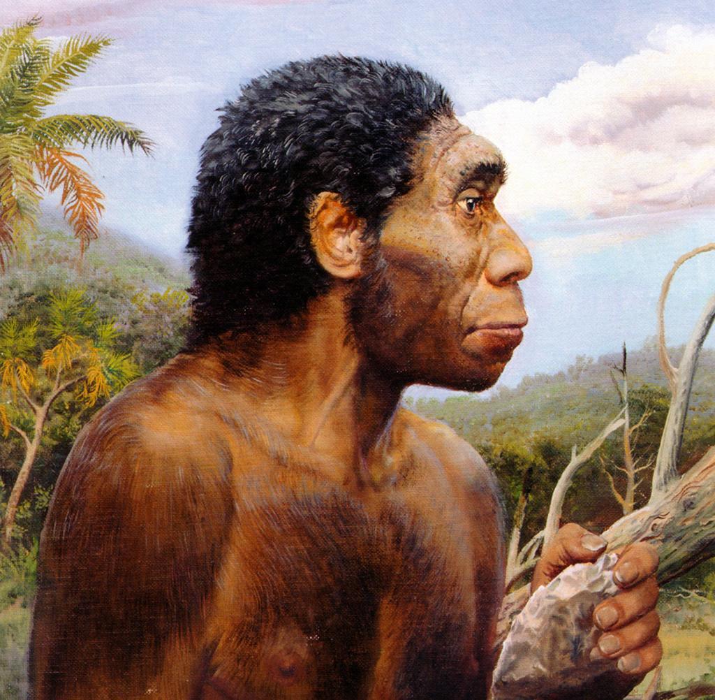 Estiman que el homo erectus es unos 200 mil años más antiguo de lo que se creía