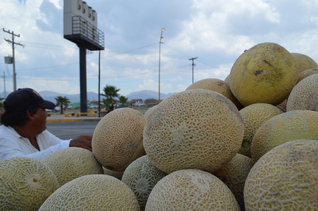 Comienza venta de melón en Matamoros