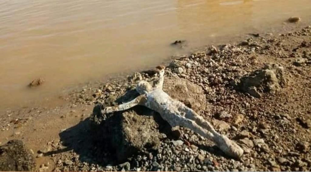 Reportan supuesto hallazgo de un Cristo a la orilla de un río en Argentina
