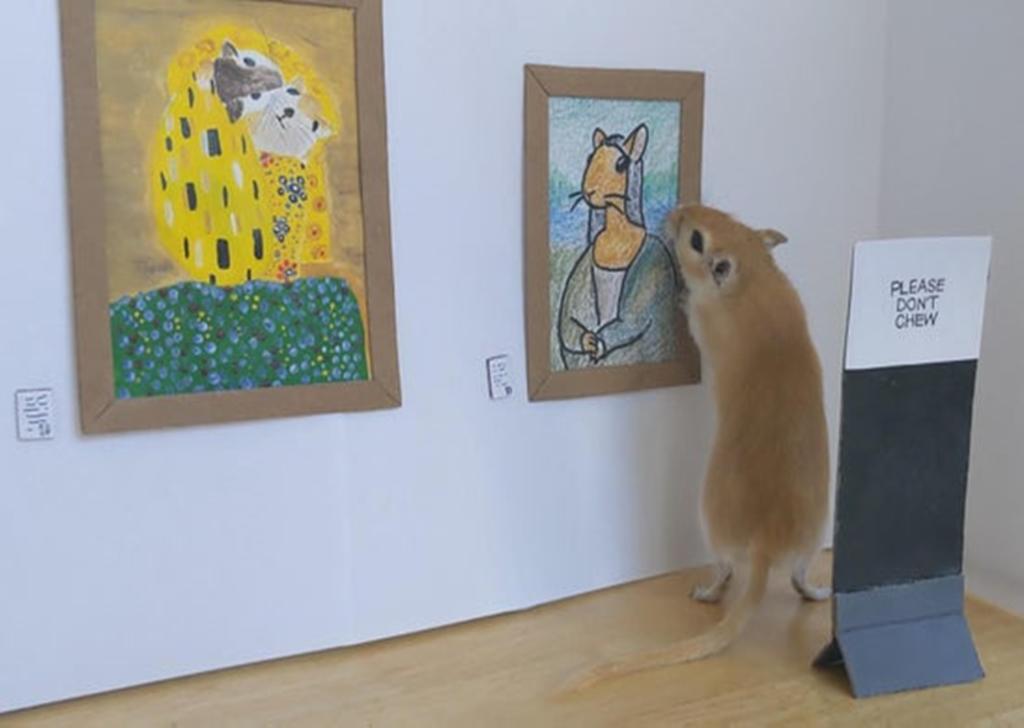 Pareja le hace una galería de arte a sus mascotas