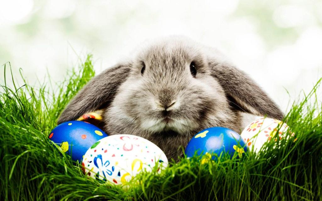 Conejo de Pascua y Hada de los Dientes, ‘trabajadores esenciales’ en NZ
