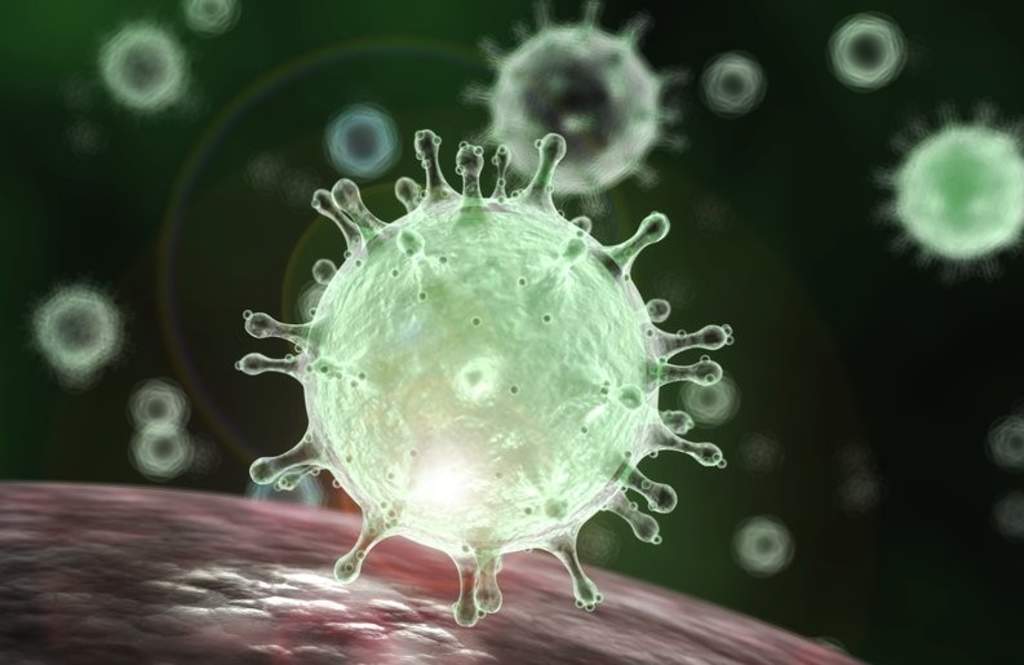 Descubren científicos que mayoría de coronavirus son estacionales